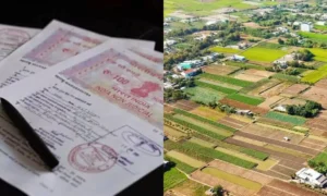 18842321-land