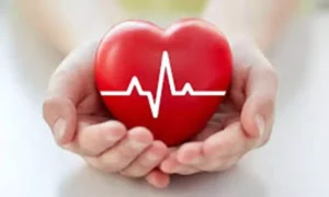 18848278-heart