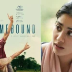 18866364-homebound