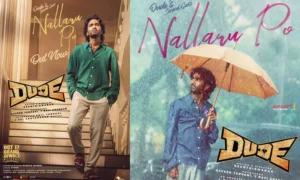 18868618-nallairu
