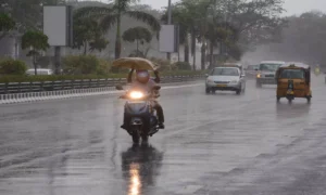 18889403-rain