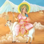 18947847-shailaputri
