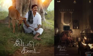18998116-idli