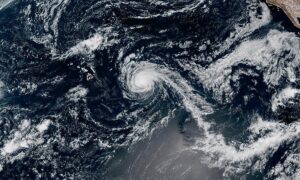 AP25250781072098