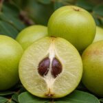 Amla