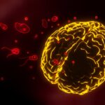 Amoeba20infection20in20brain