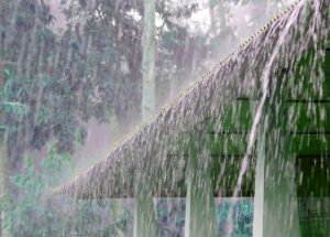 Rain