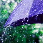 Rainfallingofablackumbrella-1