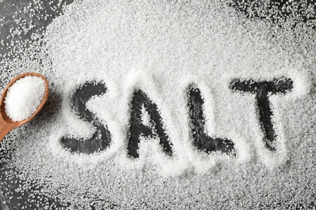 SALT-1-2025-09-451c72d6c57e8fb4abdcee3f8d76938d-3x2-1