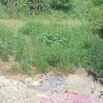 pkm22pvc___1_2209chn_74_2