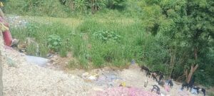 pkm22pvc___1_2209chn_74_2