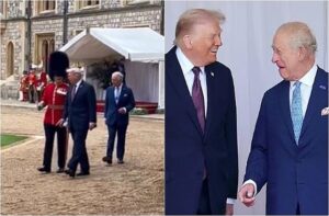 trump-royal