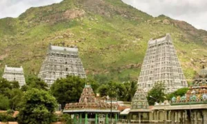 19515350-tiruvannamalai