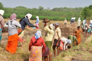 100-naal-velai-2025-12-723258c43bf1d5dd6386829d4d62802e-3x2-1