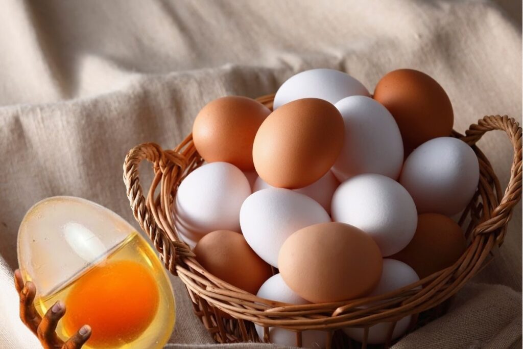 Egg-2025-12-ab825538b800abf4cc2564fb99afdd1f-3x2-1