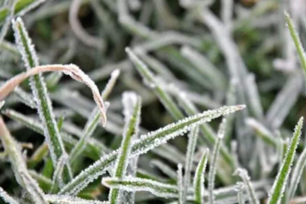 FOG-2025-12-2dde1ccbfff6b4ae30feb10526faaddf-3x2-1