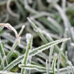 FOG-2025-12-2dde1ccbfff6b4ae30feb10526faaddf-3x2-1