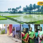 HYP_5611811_cropped_01122025_104115_inshot_20251201_104058628__1-3x2-1