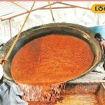 HYP_5619429_cropped_04122025_174435_image_search_1764849616245_1-3x2-1