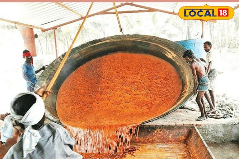 HYP_5619429_cropped_04122025_174435_image_search_1764849616245_1-3x2-1