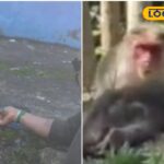 HYP_5645054_cropped_17122025_130058_inshot_20251217_130042684__1-3x2-1