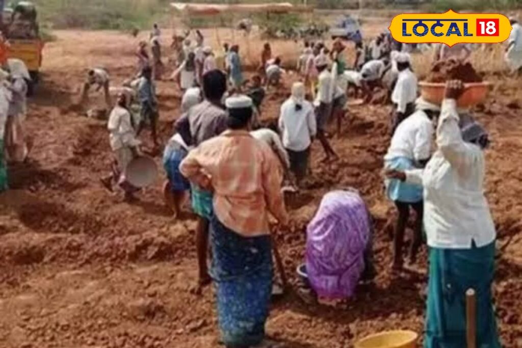 HYP_5645937_cropped_17122025_180025_images_2_watermark_1712202_1-3x2-1