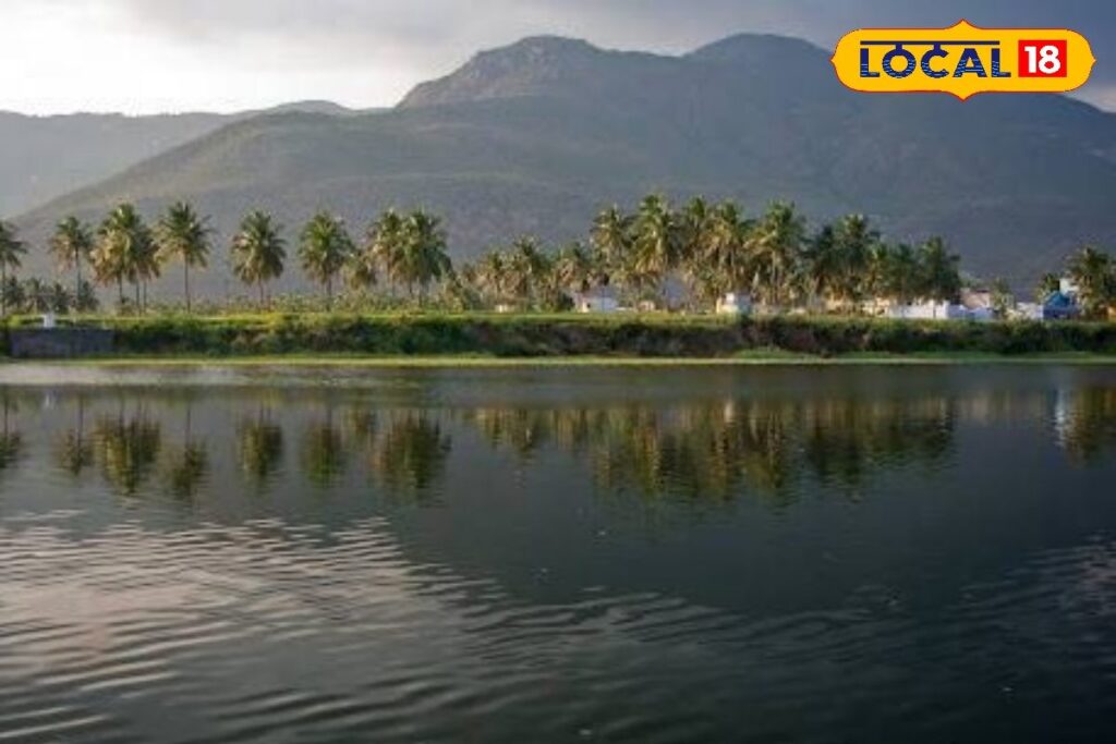 HYP_5646516_cropped_18122025_001415_images_32_watermark_181220_2-3x2-1