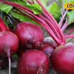 HYP_5648809_cropped_19122025_012617_bitruttttt20231203041607_w_2-3x2-1