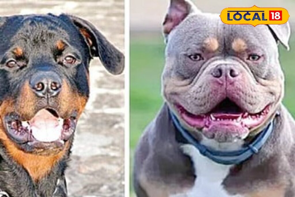 HYP_5652966_cropped_20122025_195824_image_search_1766240523322_1-3x2-1