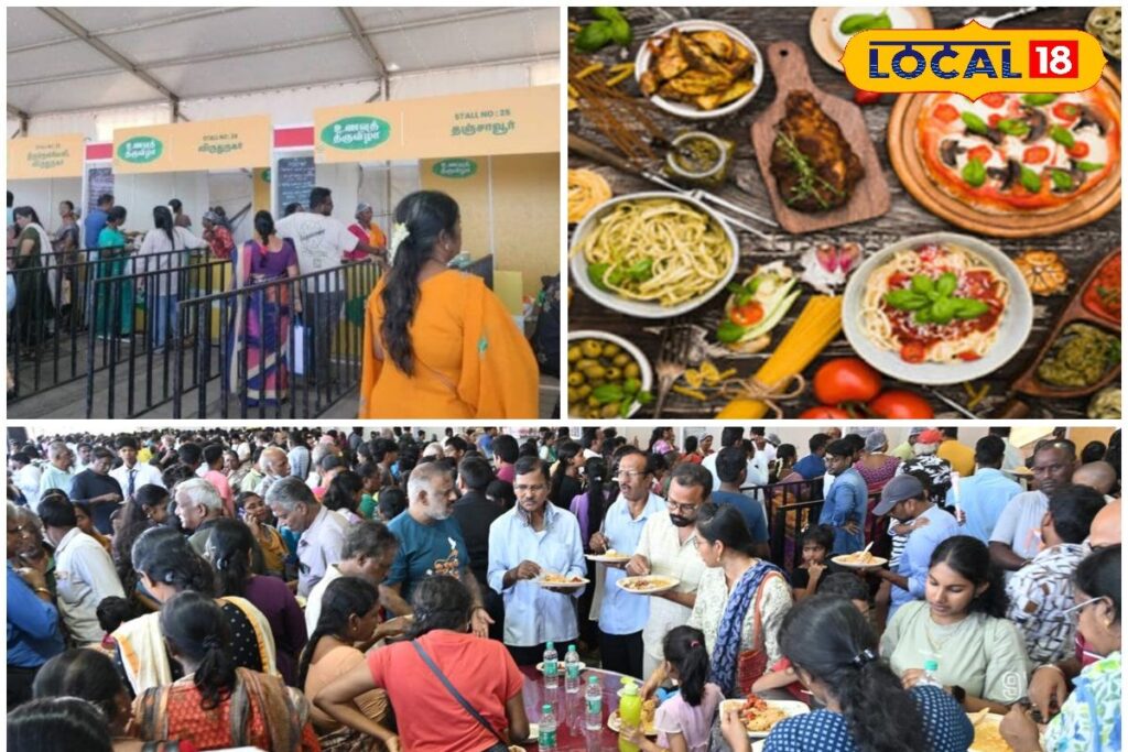 HYP_5655086_cropped_22122025_093607_inshot_20251222_093555543__2-3x2-1