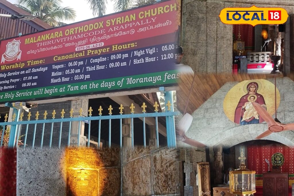 HYP_5660706_cropped_24122025_161133_inshot_20251224_161113350__1-3x2-1