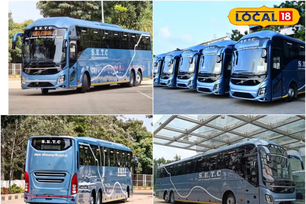 HYP_5660749_cropped_24122025_162803_inshot_20251224_162746632__1-3x2-1