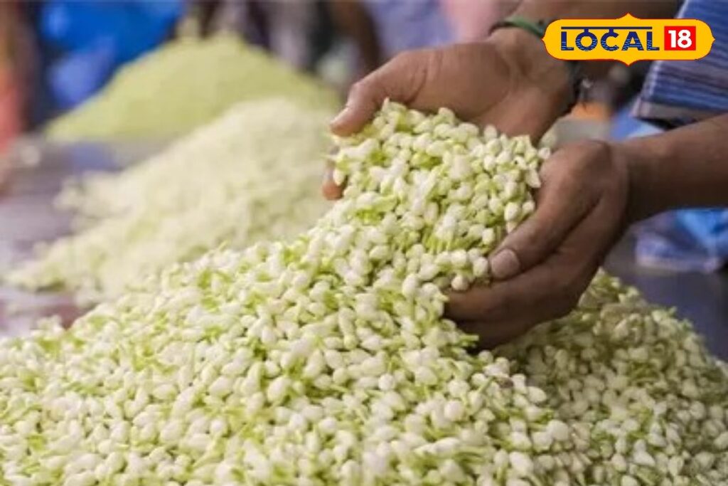 HYP_5664265_cropped_26122025_123309_500x300_194995316_watermar_1-3x2-1