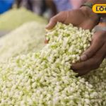 HYP_5664265_cropped_26122025_123309_500x300_194995316_watermar_1-3x2-1