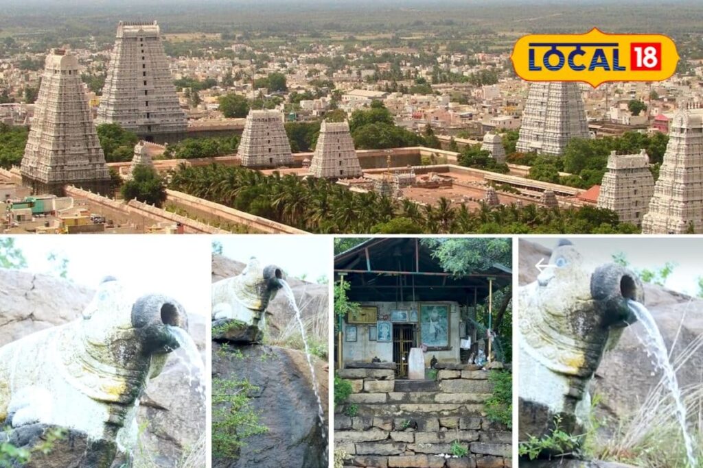 Nandi-Vai-Theertham-Pond-Temple-Tiruvannamalai-2025-12-c85e57df97c9b1888c30fb6651ba594d-3x2-1