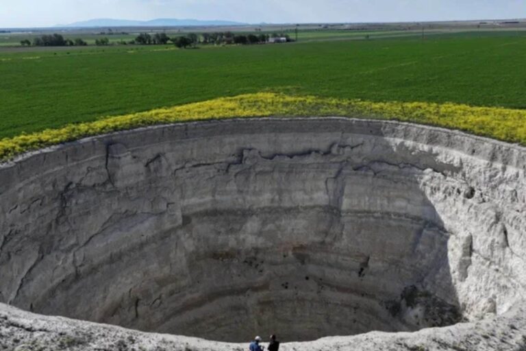 Untitled-design-15-2025-12-da99495bd2c606ea685aad674bc9b093-3x2-1