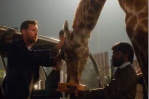 VANTARA-2-2025-12-c415bce7db4ec73c28af29957cbf3f5d-3x2-1