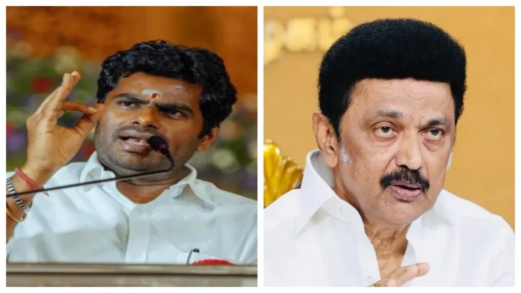 annastafea-1765969066