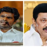 annastafea-1765969066