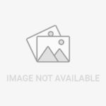 bangladesh-pakistan-jpg-1766218321128_1766218352384-1200x675-1