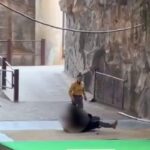 bear-2025-12-c6296487f64e6d69e0c95a61b4249a38-3x2-1