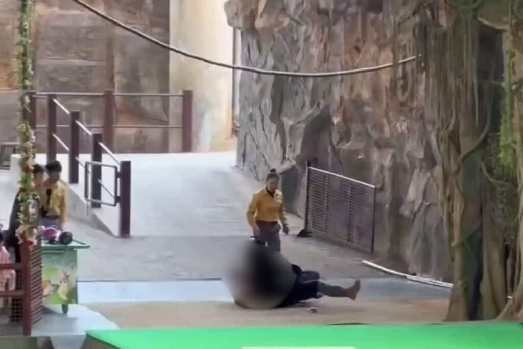 bear-2025-12-c6296487f64e6d69e0c95a61b4249a38-3x2-2