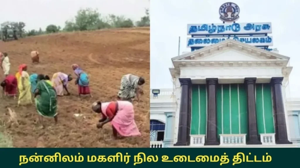 befunky-collage-2025-12-30t181026-089-1767098436