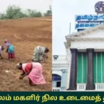 befunky-collage-2025-12-30t181026-089-1767098436