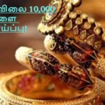 befunky-collage83-1766405536