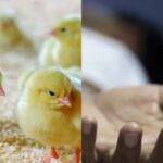 crime-2-2025-12-11e2968527c63a4c093a6a3f00e4607f-3x2-1