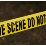 crimefea1-1765988621