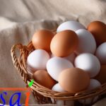 egg-2025-12-7552e2ada03084c2273a24b8e7309333-3x2-1