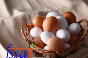 egg-2025-12-7552e2ada03084c2273a24b8e7309333-3x2-1