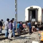 elephant-2025-12-04d2f744a0973bbd3357ade4cd1de557-3x2-1